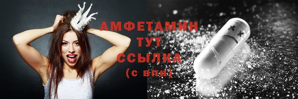 ГАЛЛЮЦИНОГЕННЫЕ ГРИБЫ Лагань