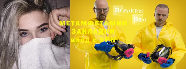 ГАЛЛЮЦИНОГЕННЫЕ ГРИБЫ Лагань