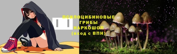Альфа ПВП Лабытнанги