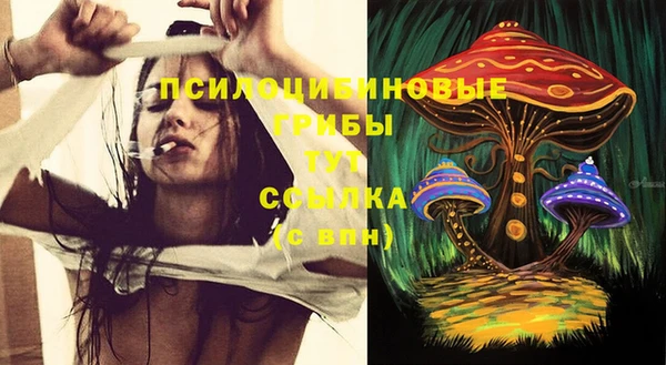 ГАЛЛЮЦИНОГЕННЫЕ ГРИБЫ Лагань