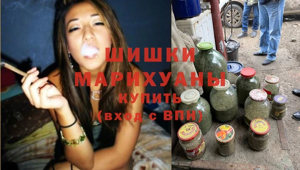 ГАЛЛЮЦИНОГЕННЫЕ ГРИБЫ Лагань