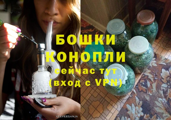 ГАЛЛЮЦИНОГЕННЫЕ ГРИБЫ Лагань